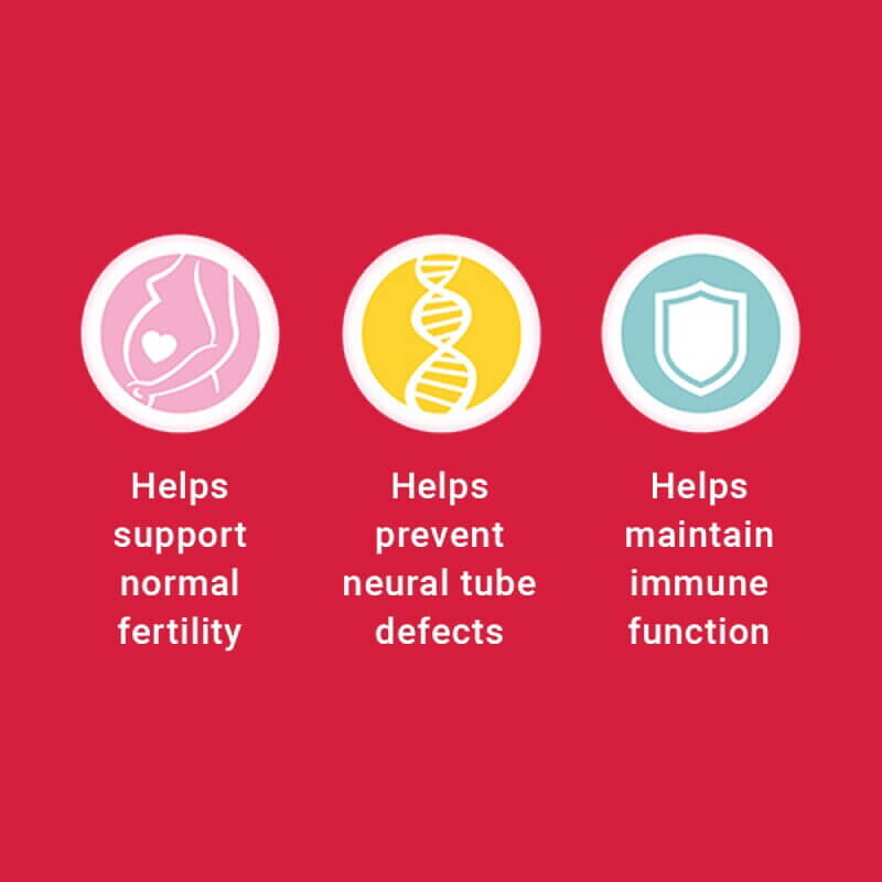 Materna®  Prenatal | Multivitamins + DHA  Combo Pack