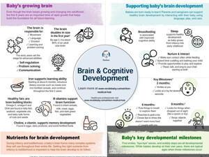 Brain & Cognitive Development