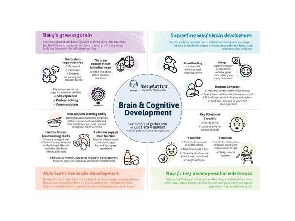 Brain & Cognitive Development Brain & Cognitive Development