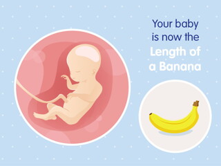 pregnancy week20 temporary pregnancy week20 temporary