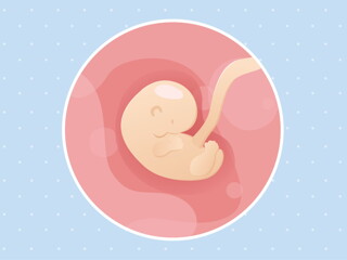 pregnancy week6 temporary pregnancy week6 temporary