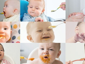 Introducing responsive feeding Introducing responsive feeding