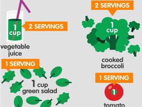 Pre-pregnancy diet and lifestyle Pre-pregnancy diet and lifestyle