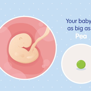 pregnancy week5 temporary pregnancy week5 temporary