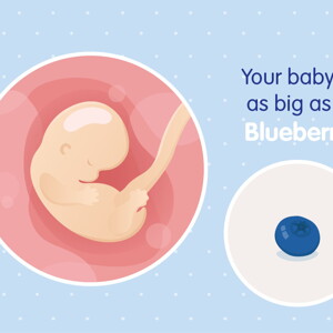 pregnancy week7 temporary pregnancy week7 temporary