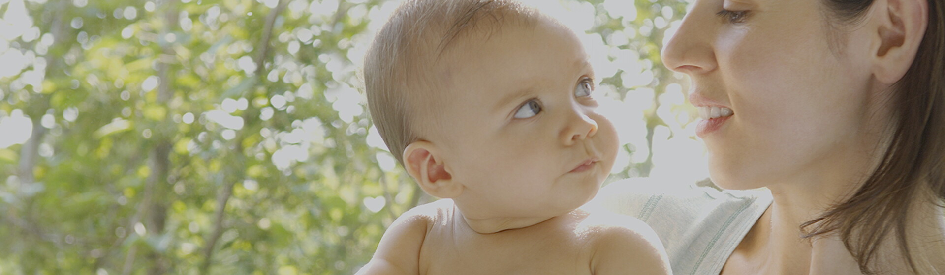 6 to 8 months 6 to 8 months