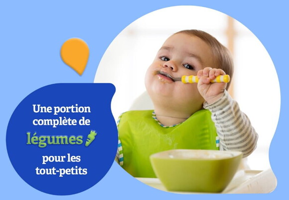 Repas GERBER pour les tout-petits Repas GERBER pour les tout-petits